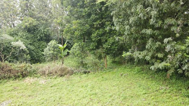 Prime One Acre Bondeni