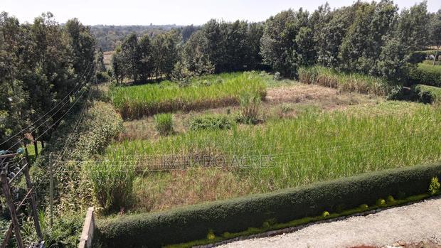 1.2 Acres Rhino Park at 78m