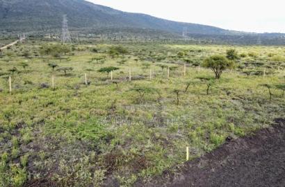 1/8 Acre Kisamis at