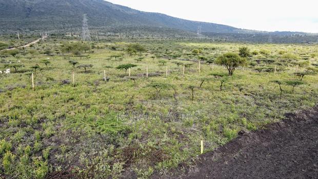 1/8 Acre Kisamis at