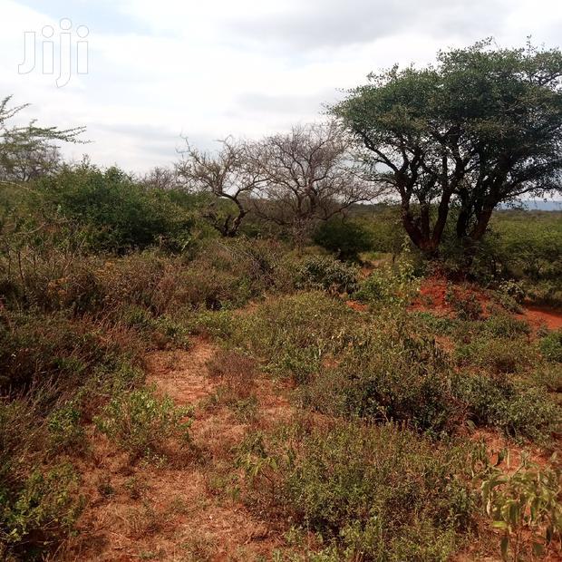100 Acres Farming Land On Water Table
