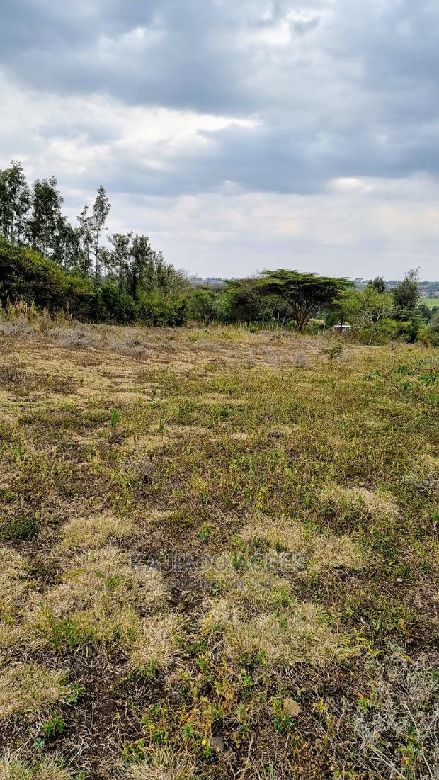 1/4 Acre Kandisi at 4.5m