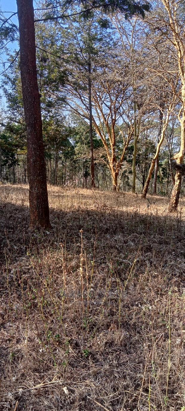 Prime 13 Acres Lukenya