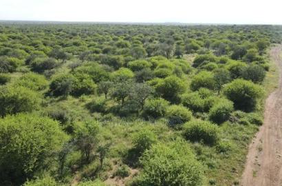 18 Acres Oloika at Per Acre