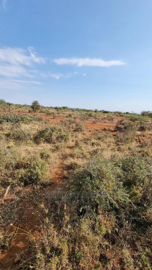 8 Acres Nkorika