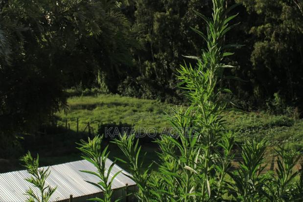 1/8 Acre Lemiso Road at 3.5m