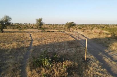 Prime Fenced 38 Acres Sajiloni at 1.5m Per Acre