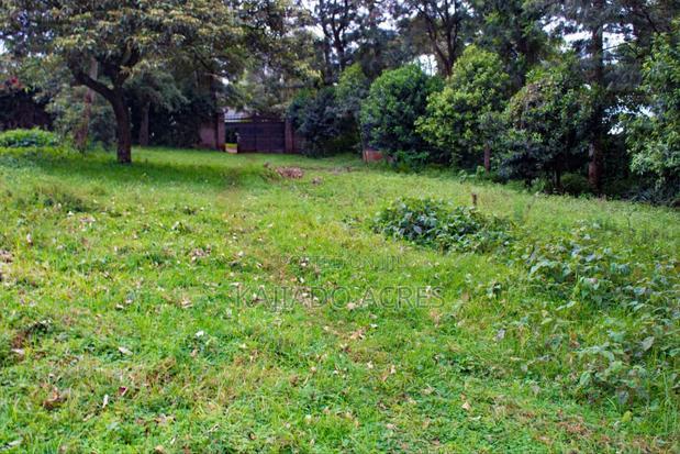 Prime One Acre Bondeni