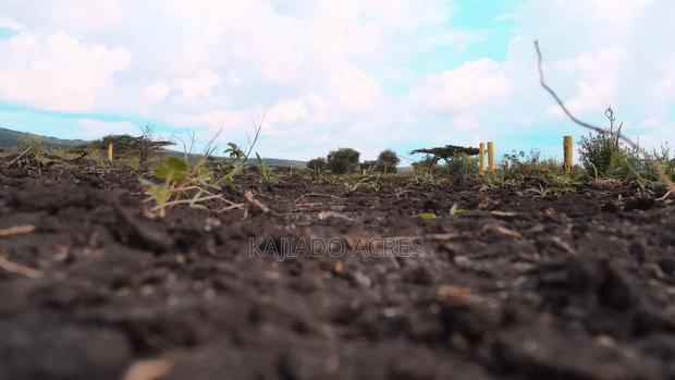 1/8 Acre Kisamis at