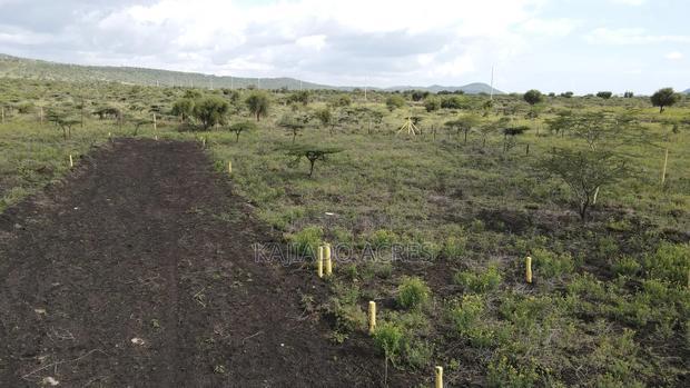 1/8 Acre Kisamis at