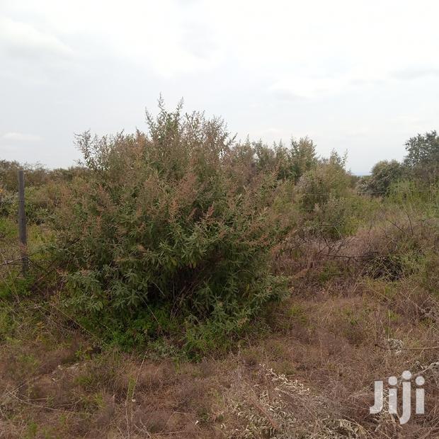 1 Acre Olkudate at 1.8m Per Acre