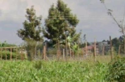 40x80 Residential Plot at Kiora Estate, Kiambu