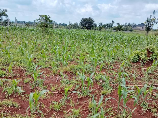 Two Plots Matropi Estate Kiambu