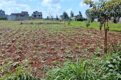 Two 40x80 Plots at Kiora Estate