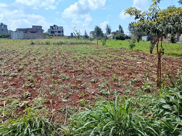 Two 40x80 Plots at Kiora Estate