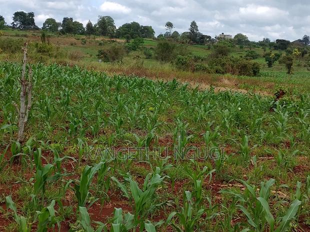 Two Plots Matropi Estate Kiambu