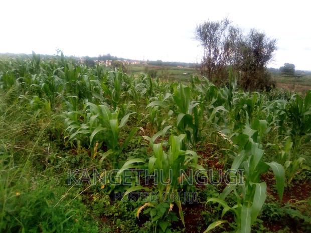 40x80 Plot Anmer Estate Kiambu