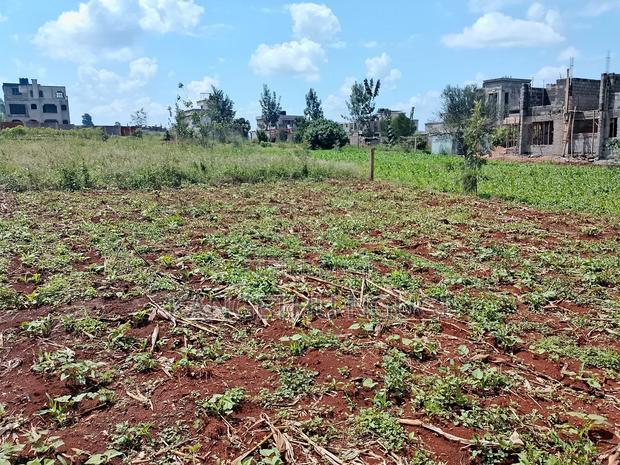 Two 40x80 Plots at Kiora Estate