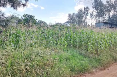 Quarter Acre Residential Plot Mugumo Estate, Kiambu