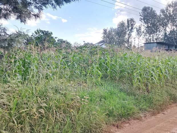 Quarter Acre Residential Plot Mugumo Estate, Kiambu