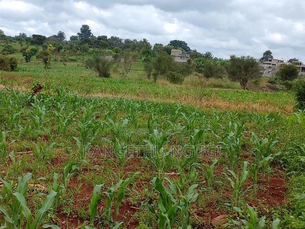 Two Plots Matropi Estate Kiambu