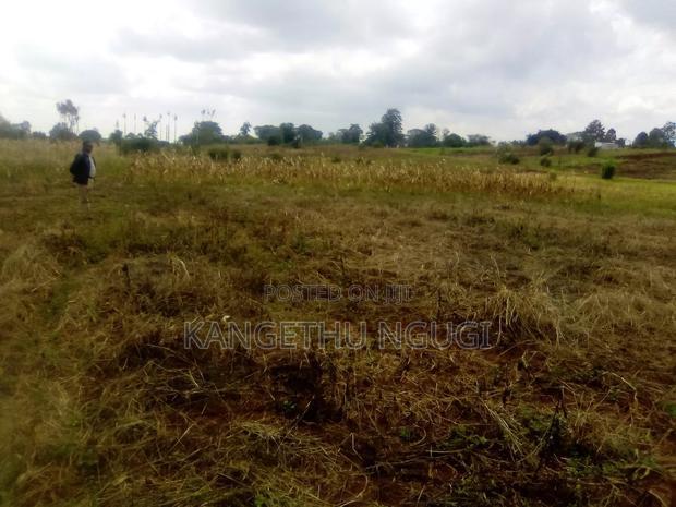 Cheap 40x80 Plot Anmer Estate