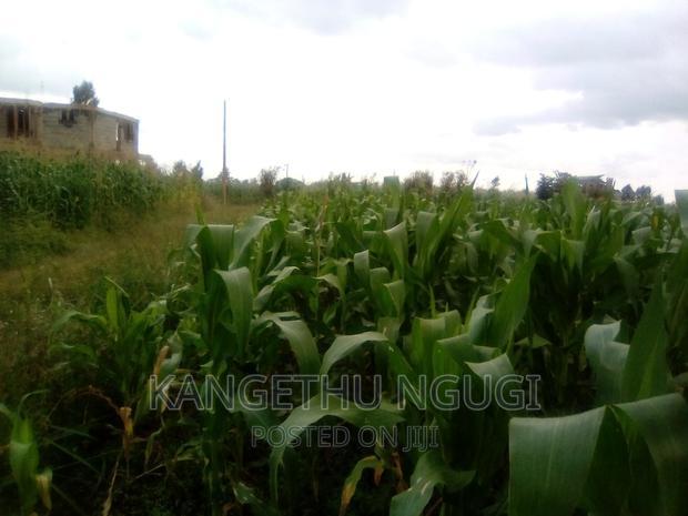 40x80 Plot Anmer Estate Kiambu