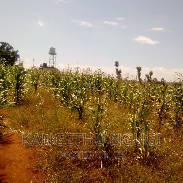 Half Acre Runda Mumwe
