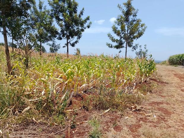 Two 40x80 Residential Plots at Anmer Estate
