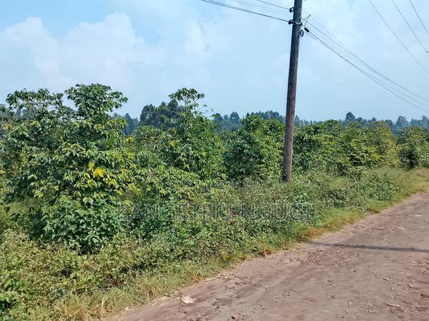 3.5 Acres Tinganga