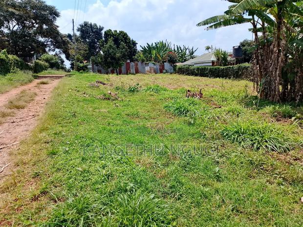 Quarter Acre Commercial Plot Ruaka