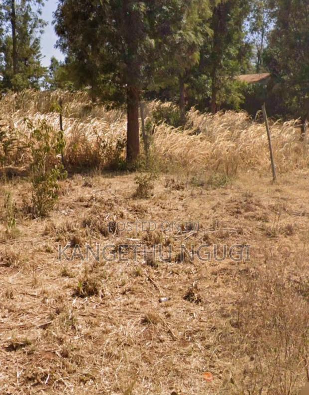 50 X 100 Residential Plot Mugumo Estate Kiambu