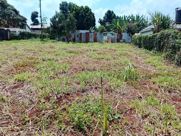 Quarter Acre Commercial Plot Ruaka