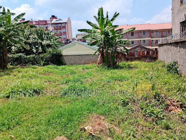 Quarter Acre Commercial Plot Ruaka