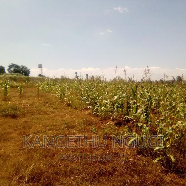Half Acre Runda Mumwe