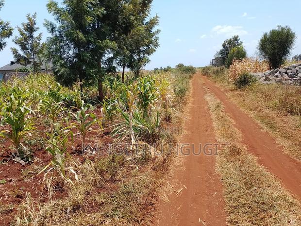Two 40x80 Residential Plots at Anmer Estate