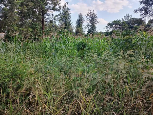 Quarter Acre Residential Plot Mugumo Estate, Kiambu