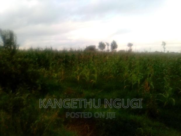 40x80 Plot Anmer Estate Kiambu