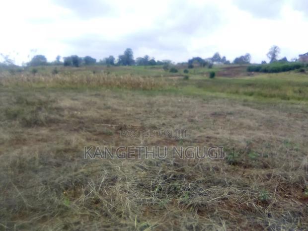 Cheap 40x80 Plot Anmer Estate