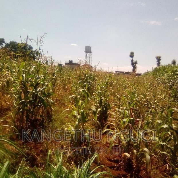 Half Acre Runda Mumwe