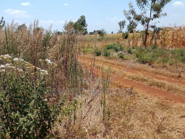 Two 40x80 Residential Plots at Anmer Estate
