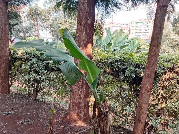 Quarter Acre Commercial Plot Kiambu Town