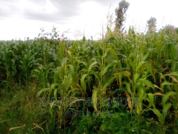 40x80 Plot Anmer Estate Kiambu