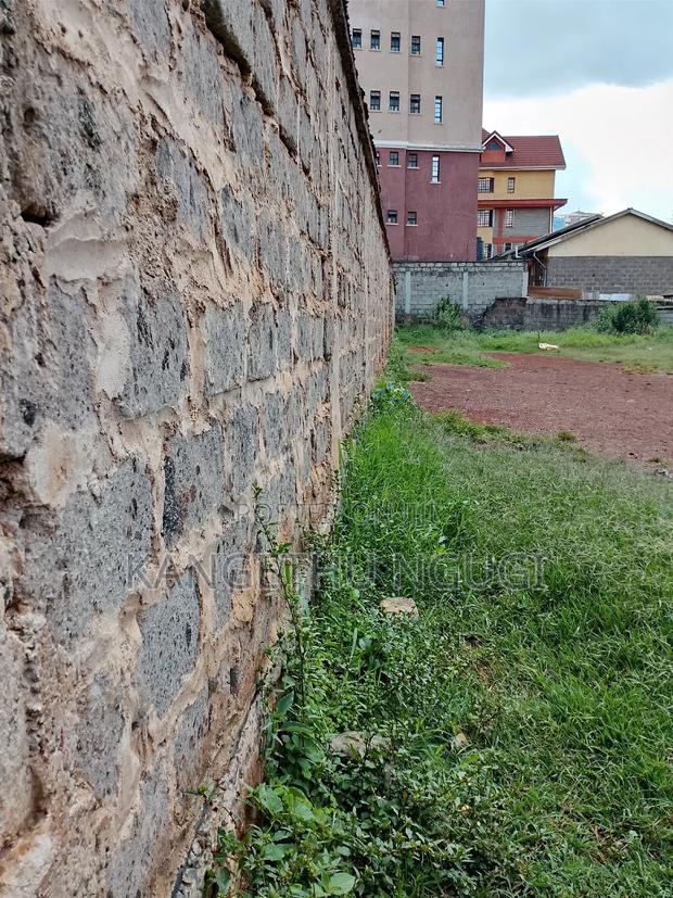 50x100 Commercial Plot Ruaka
