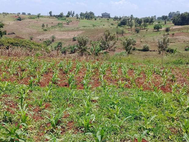 Three 40x80 Plots Matropi Estate Kiambu