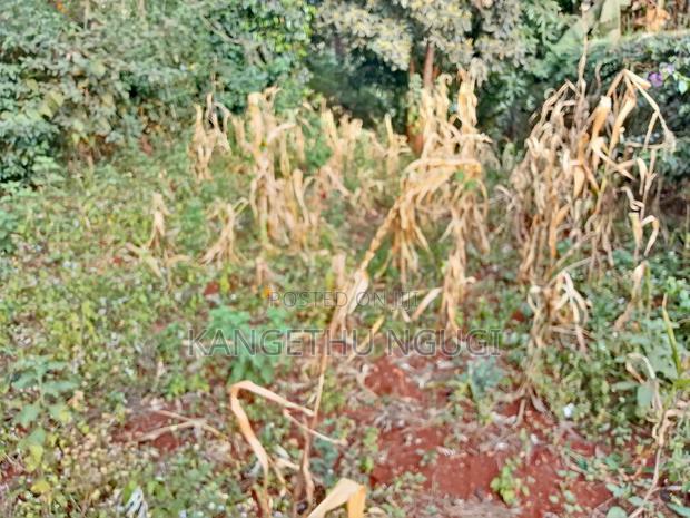 Quarter Acre Commercial Plot Kiambu Town