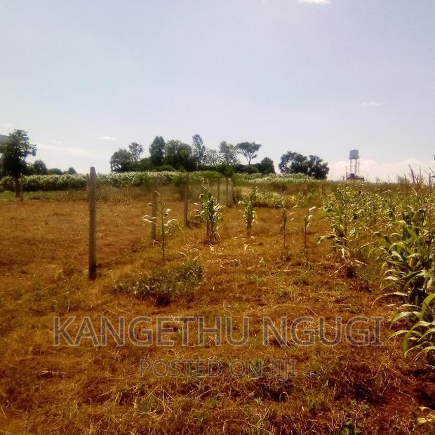 Half Acre Runda Mumwe