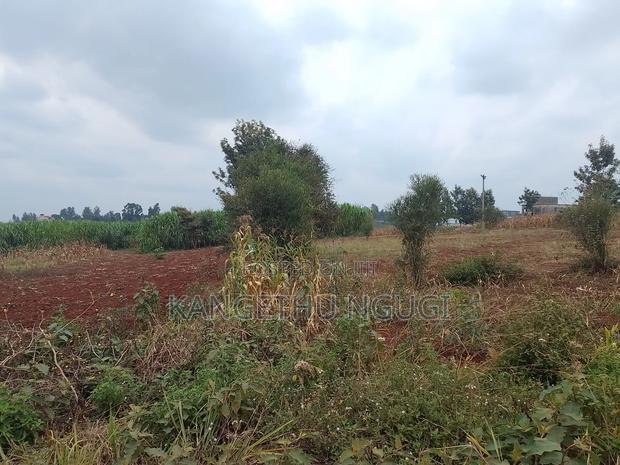 Two 40x80 Plots Kiora Estate Kiambu