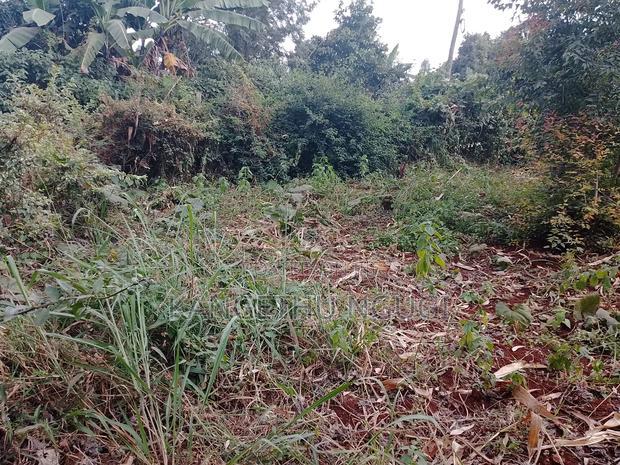 40 X 90 Plot Kirigu-Ini Ndumberi