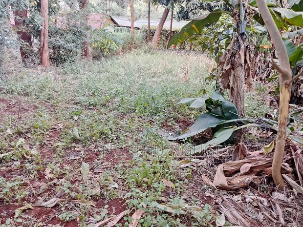 Quarter Acre Commercial Plot Kiambu Town